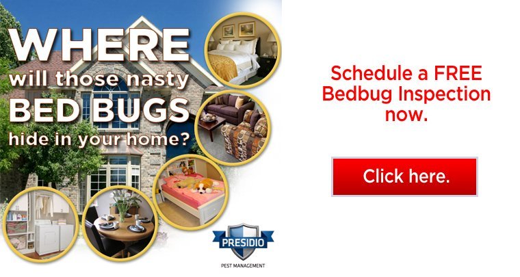 bug free home